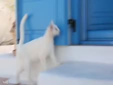 اخ ينيك اخته بلقوةxnxx