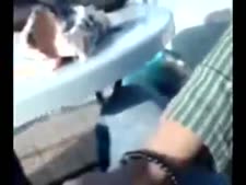 نيج فرنسي صور صوت